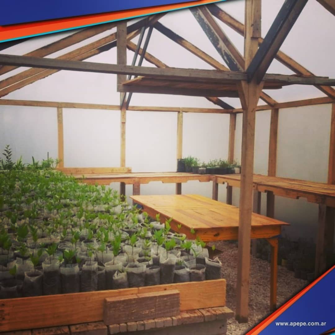 INTERNOS DE LA CÁRCEL DE SAAVEDRA CONSTRUYERON UN VIVERO